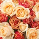 Beautiful Bouquets