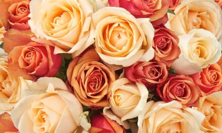 Beautiful Bouquets